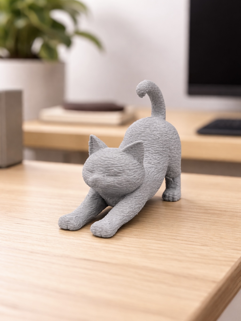 Stretching Cute Cat